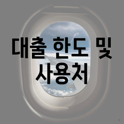 대출 한도 및 사용처