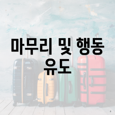 마무리 및 행동 유도