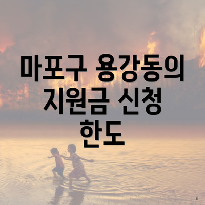 마포구 용강동의 지원금 신청 한도