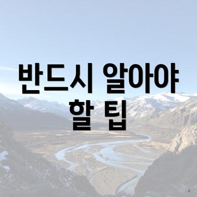 반드시 알아야 할 팁