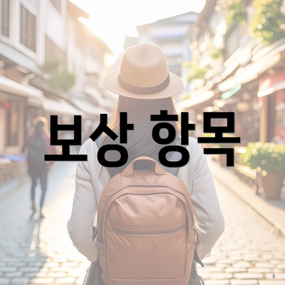 보상 항목