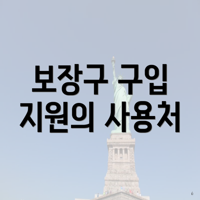 보장구 구입 지원의 사용처