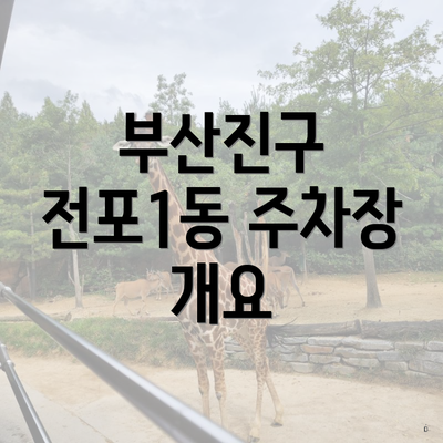 부산진구 전포1동 주차장 개요