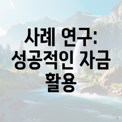 사례 연구: 성공적인 자금 활용