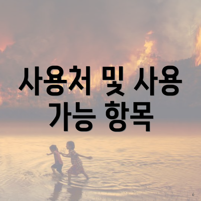 사용처 및 사용 가능 항목