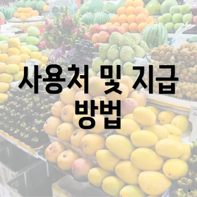 사용처 및 지급 방법