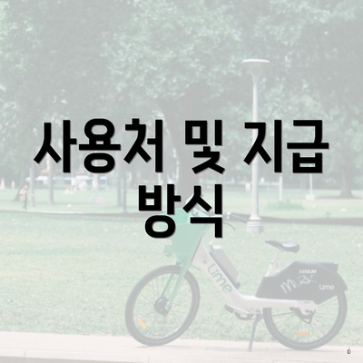 사용처 및 지급 방식