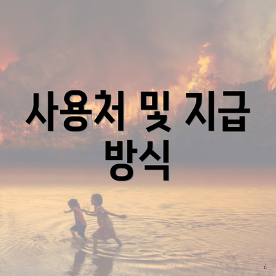 사용처 및 지급 방식