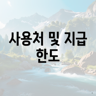 사용처 및 지급 한도