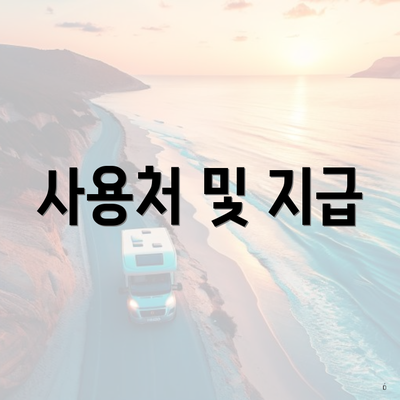 사용처 및 지급