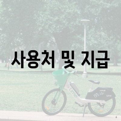 사용처 및 지급