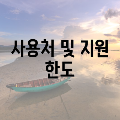 사용처 및 지원 한도