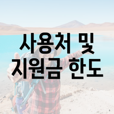 사용처 및 지원금 한도