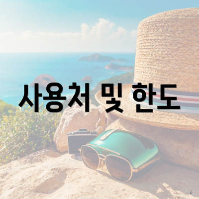 사용처 및 한도