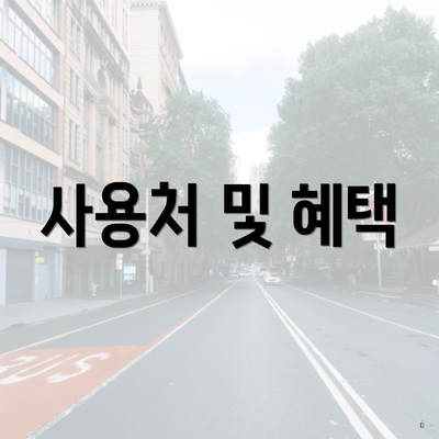 사용처 및 혜택