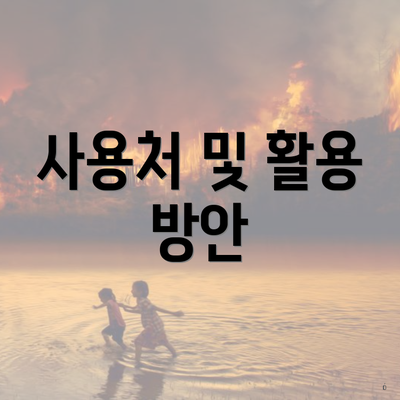 사용처 및 활용 방안