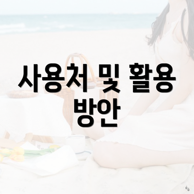 사용처 및 활용 방안