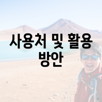 사용처 및 활용 방안