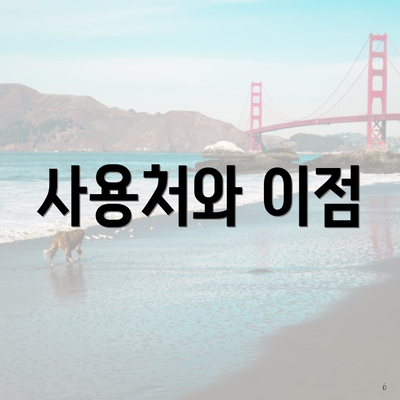 사용처와 이점