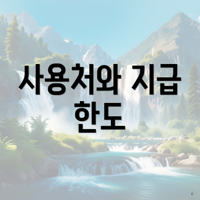 사용처와 지급 한도