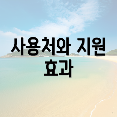 사용처와 지원 효과