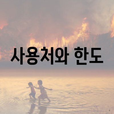 사용처와 한도