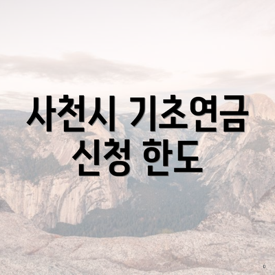 사천시 기초연금 신청 한도