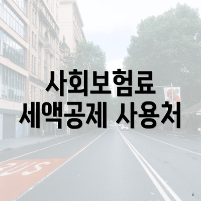 사회보험료 세액공제 사용처