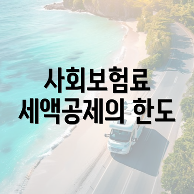 사회보험료 세액공제의 한도