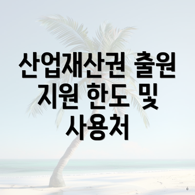 산업재산권 출원 지원 한도 및 사용처