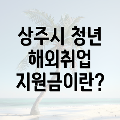 상주시 청년 해외취업 지원금이란?