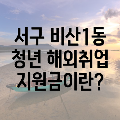 서구 비산1동 청년 해외취업 지원금이란?