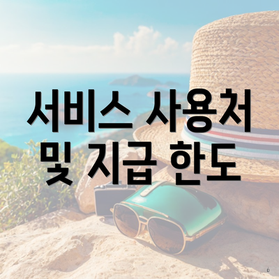 서비스 사용처 및 지급 한도