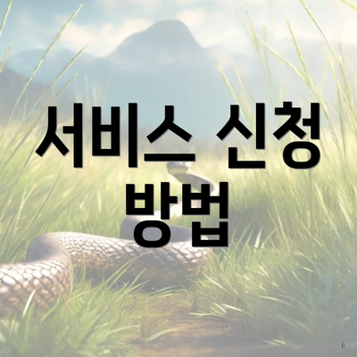 서비스 신청 방법