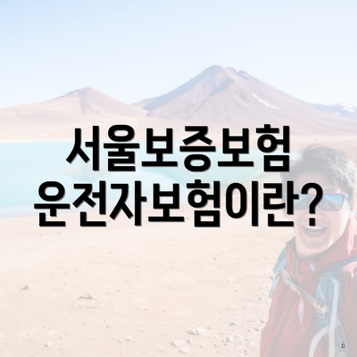 서울보증보험 운전자보험이란?
