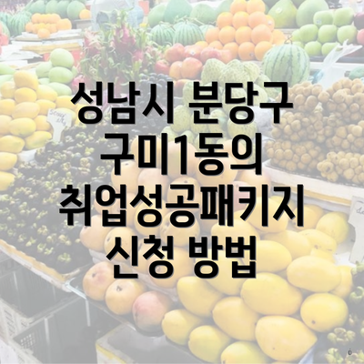 성남시 분당구 구미1동의 취업성공패키지 신청 방법