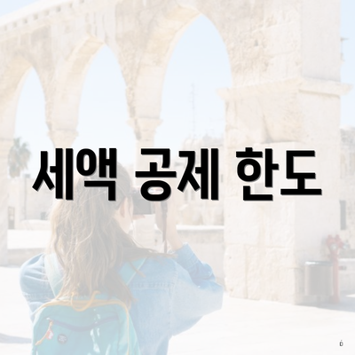 세액 공제 한도