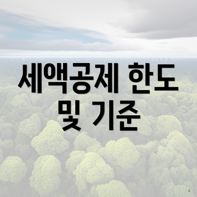 세액공제 한도 및 기준