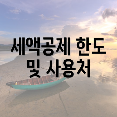 세액공제 한도 및 사용처