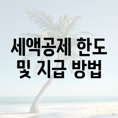 세액공제 한도 및 지급 방법