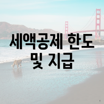 세액공제 한도 및 지급