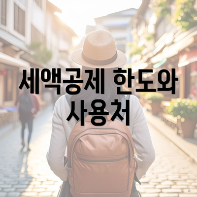 세액공제 한도와 사용처