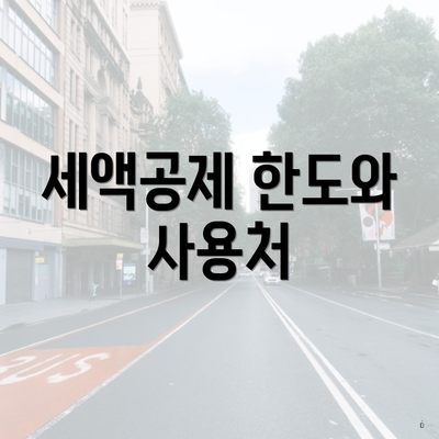 세액공제 한도와 사용처
