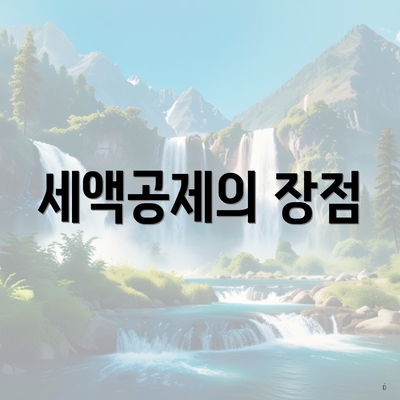 세액공제의 장점