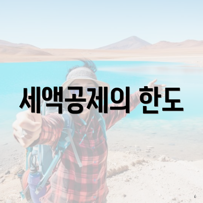 세액공제의 한도