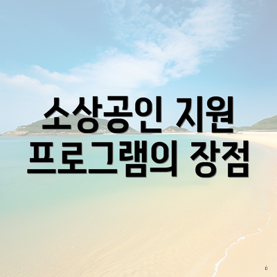 소상공인 지원 프로그램의 장점