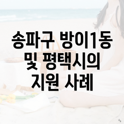 송파구 방이1동 및 평택시의 지원 사례