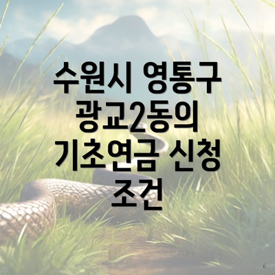 수원시 영통구 광교2동의 기초연금 신청 조건