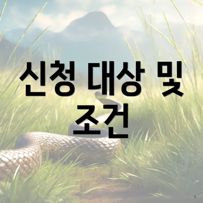 신청 대상 및 조건
