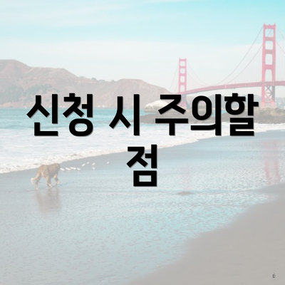 신청 시 주의할 점